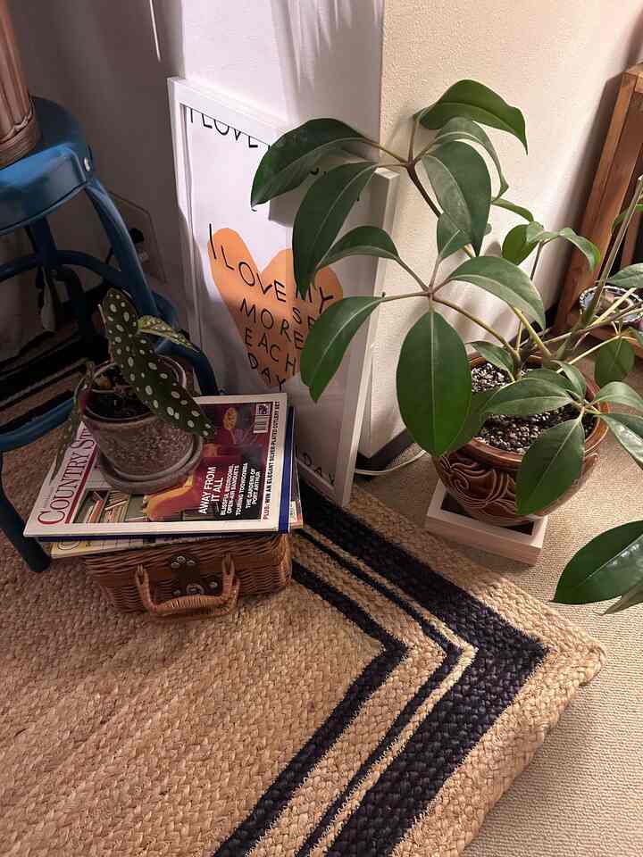 Cozy corner featuring a navy-striped natural brown rug, various plants, and a framed poster leaning against a white wall