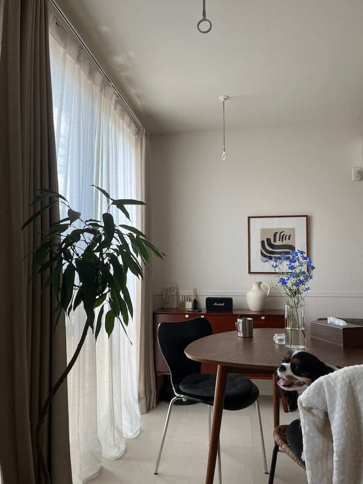 明るいナチュラルなリビング、木製ダイニングテーブルと椅子、大きな観葉植物と犬がいる雰囲気のあるインテリア