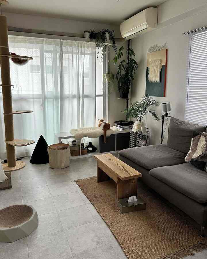 ナチュラルカラーと木目調が調和した一人暮らし向けのシンプルなリビング、ソファとキャットタワー、植物が配された雰囲気のある空間