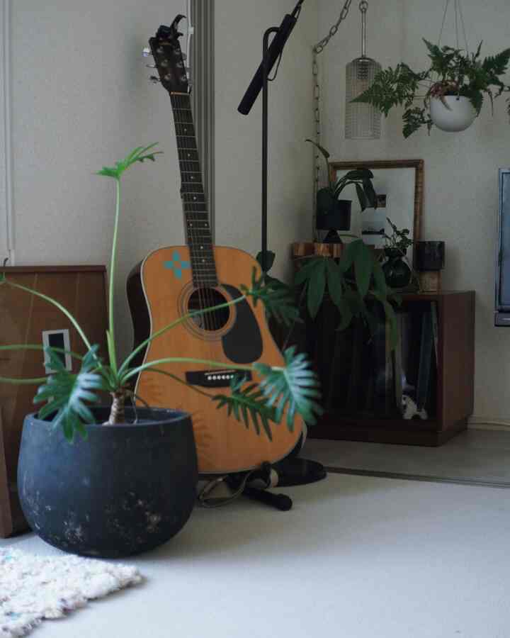 The living room is getting a makeover!

#guitar
#record rack
#antiques