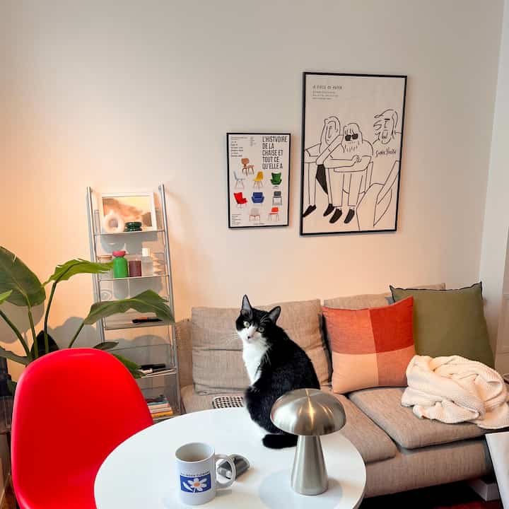 白とベージュのトーンのリビング、ベージュのソファと赤い椅子、中央に銀色のテーブルランプと黒白の猫がいる印象的な空間