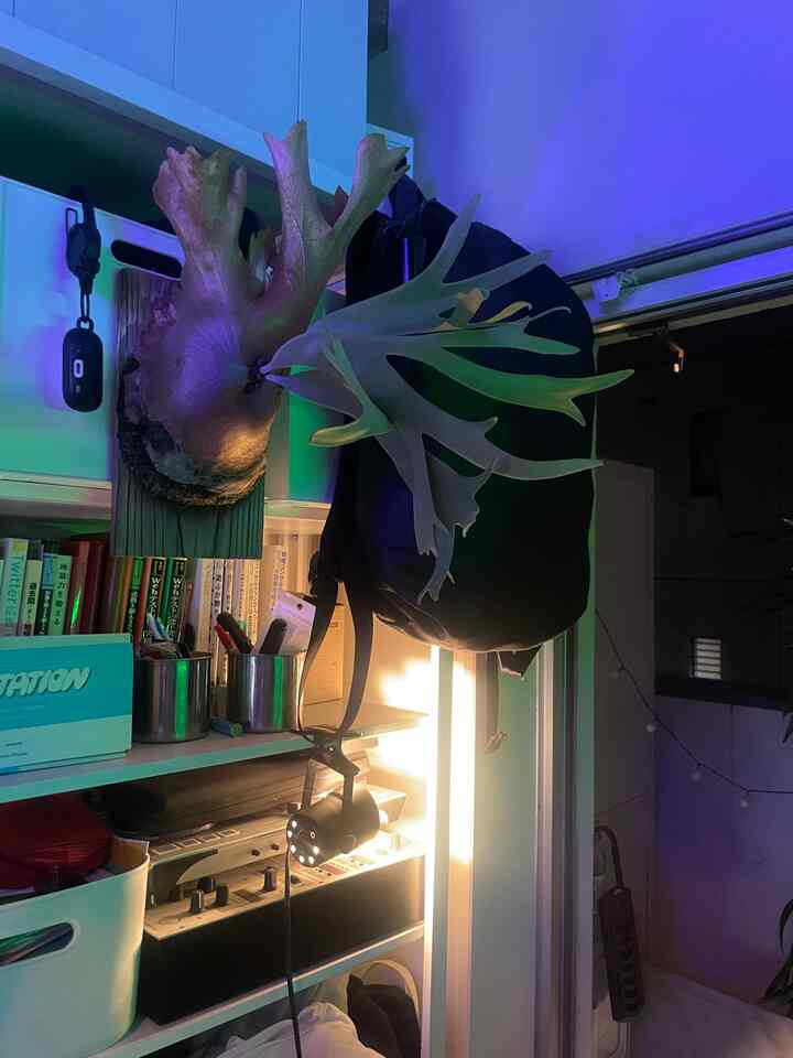 Narrow entrance space with white storage units and blue lighting, adjacent to veranda