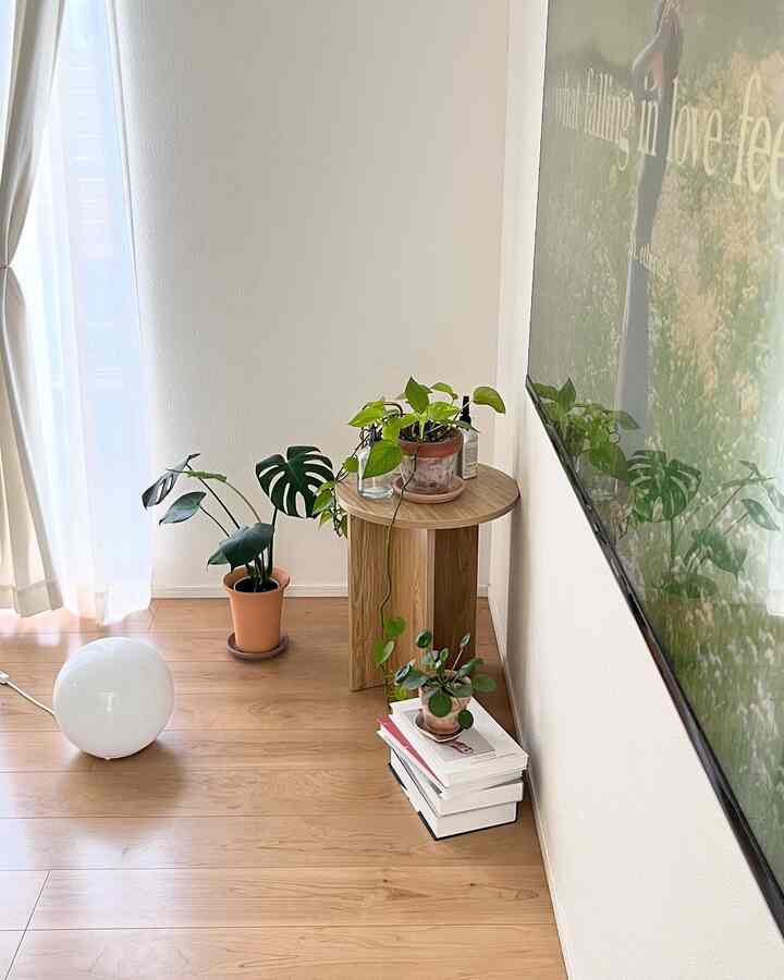 観葉植物をいくらでも増やしたい気持ちをぐっと堪えて自分がちゃんとひとつひとつに愛情を持って現実的にお世話できる範囲の数を置くべし🪴
モットー😂

_

#오늘의집 #인테리어 #인테리어스타그램 #집 #집스타그램 #마이홈 #홈카페 #홈스타그램 #홈데코 #셀프인테리어 #빈티지인테리어 #빈티지소품 #우드인테리어 #식물 #식물인테리어 #観葉植物 #韓国インテリア #丸テーブル #ラウンドテーブル #サイドテーブル #マイホーム