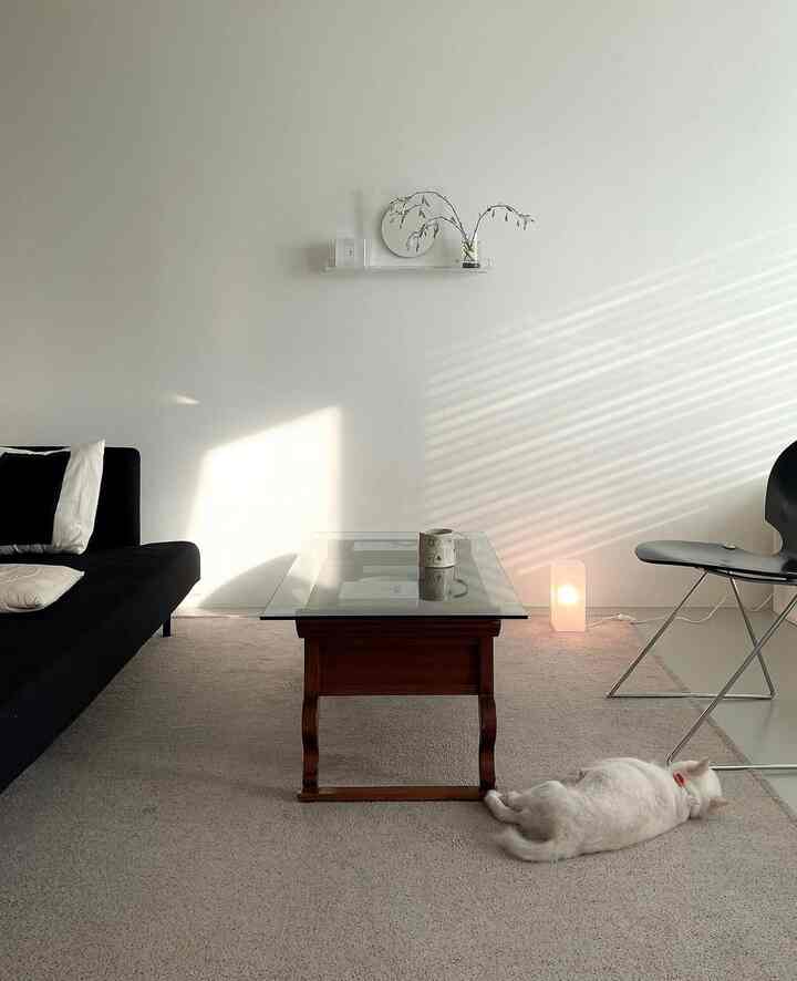 Modern minimal living room with white walls and beige rug, featuring a black sofa, Asian-style wooden coffee table, and a white cat lying on the floor