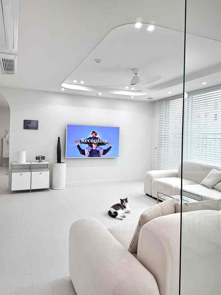 White toned living room featuring comfortable sofa and a cat with a simple modern interior style