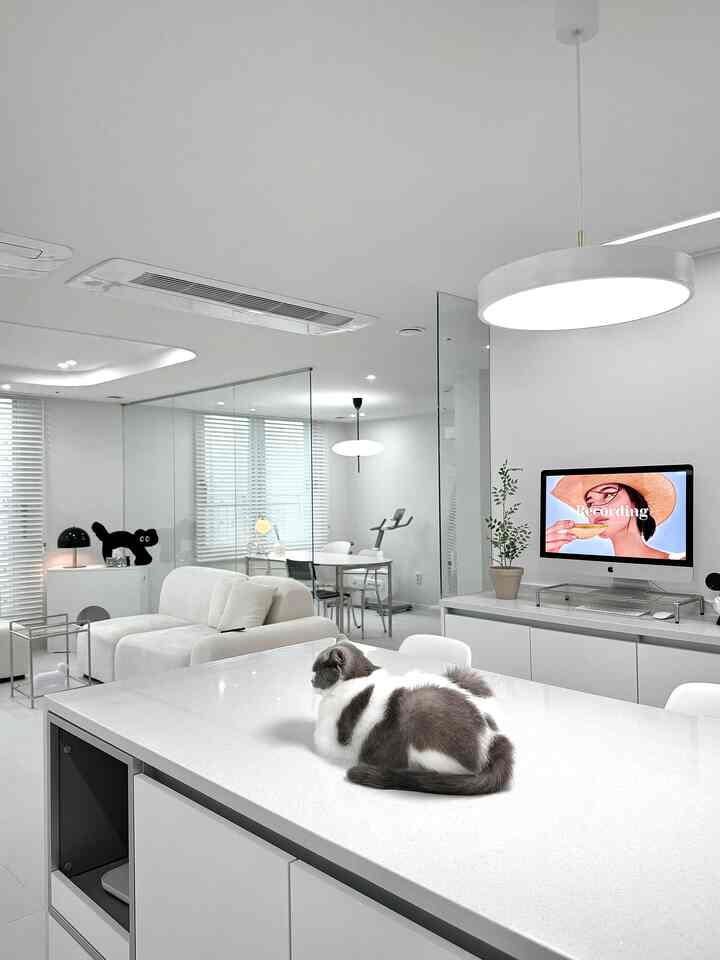 White-toned living and dining room with a clean modern style featuring a cat resting on the kitchen island