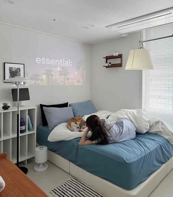 落ち着いたブルーとホワイトの色調の寝室、犬と人がくつろぐモダンなホームシネマのある空間