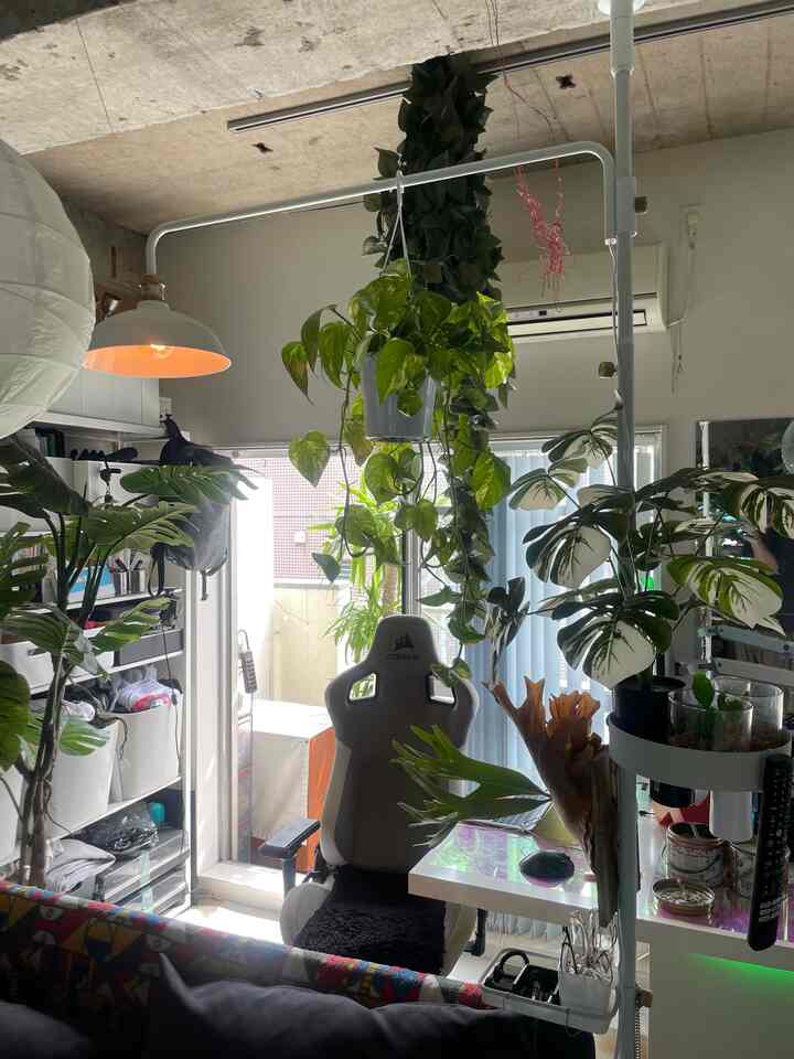White and green toned home office, game room featuring diverse plants, gaming chair, and pendant light in cozy interior
