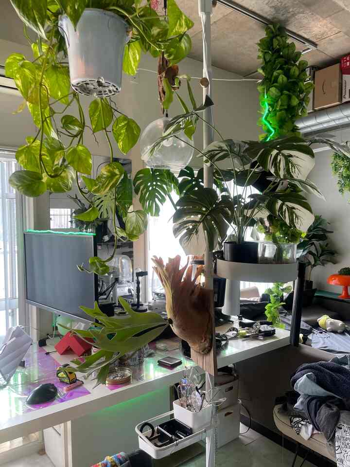 ホワイトとナチュラルトーンのワンルーム作業空間、多数の観葉植物が配置されたコンパクトなインテリア