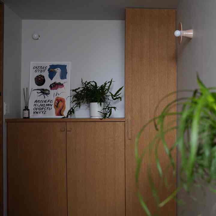 自然な木目調と緑の植物が調和した玄関、整然とした収納棚と壁付け照明が配置された落ち着いた雰囲気のインテリア