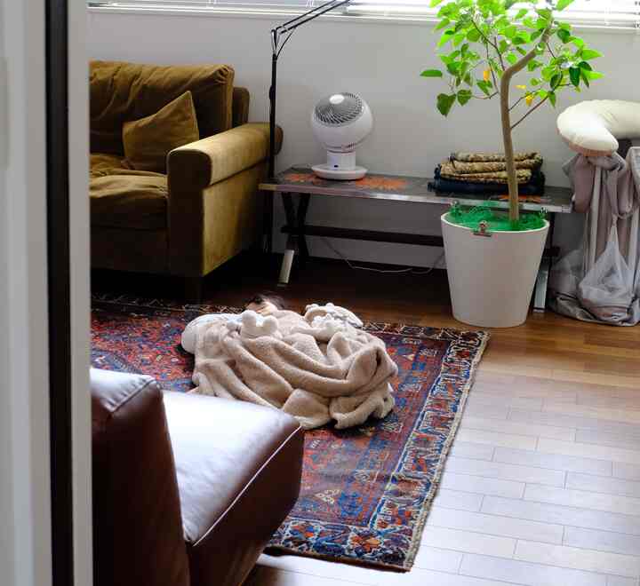 Living room with brown sofas and patterned rug, featuring a plant and floor lamp creating a cozy atmosphere