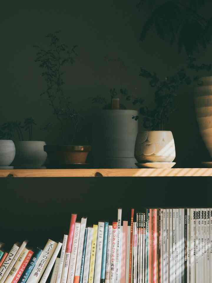 植物と写真集
#植物 #インテリア #スッキリ