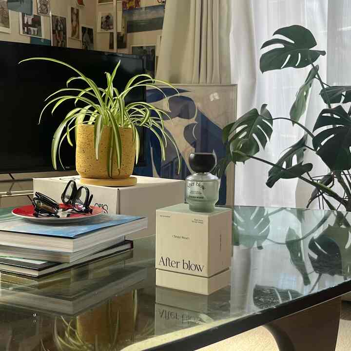 透明なガラステーブルと植物が配された明るく自然な8畳のミッドセンチュリーモダンインテリア