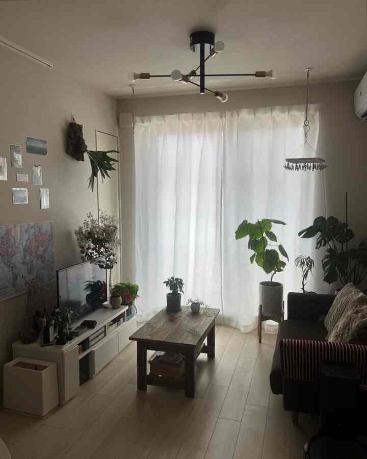 ナチュラルな色調のコンパクトなリビング、窓際に白いカーテンと木製のローテーブル、多数の観葉植物が配置されたシンプルで居心地の良い空間