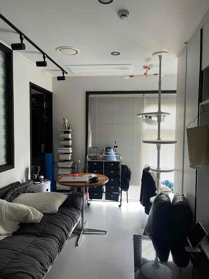 黒と白のトーンのワンルームリビング、ソファベッドとキャットタワーが配置された散らかった日常の空間