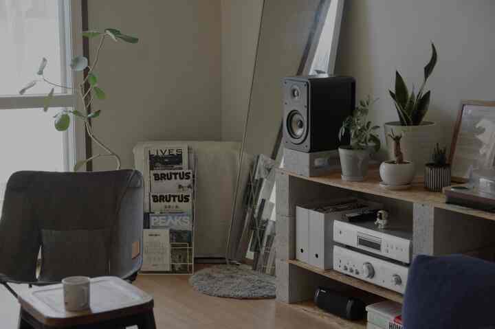 ブラウンの木目調床、ブラックのコンフォートチェア、多数の植物と鏡が配置されたミニマルなリビング空間