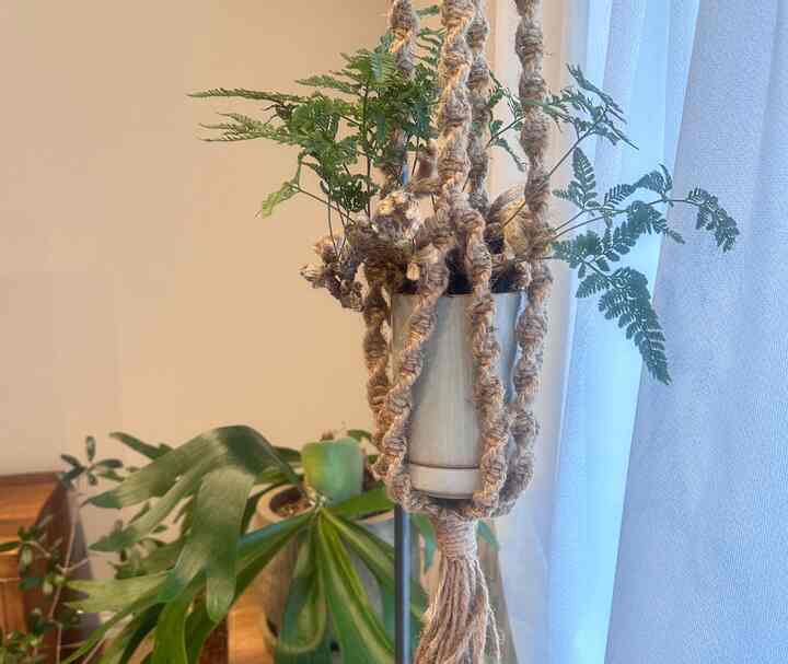 Natural-toned living space featuring macrame hanging foliage plant by a window with calm atmosphere