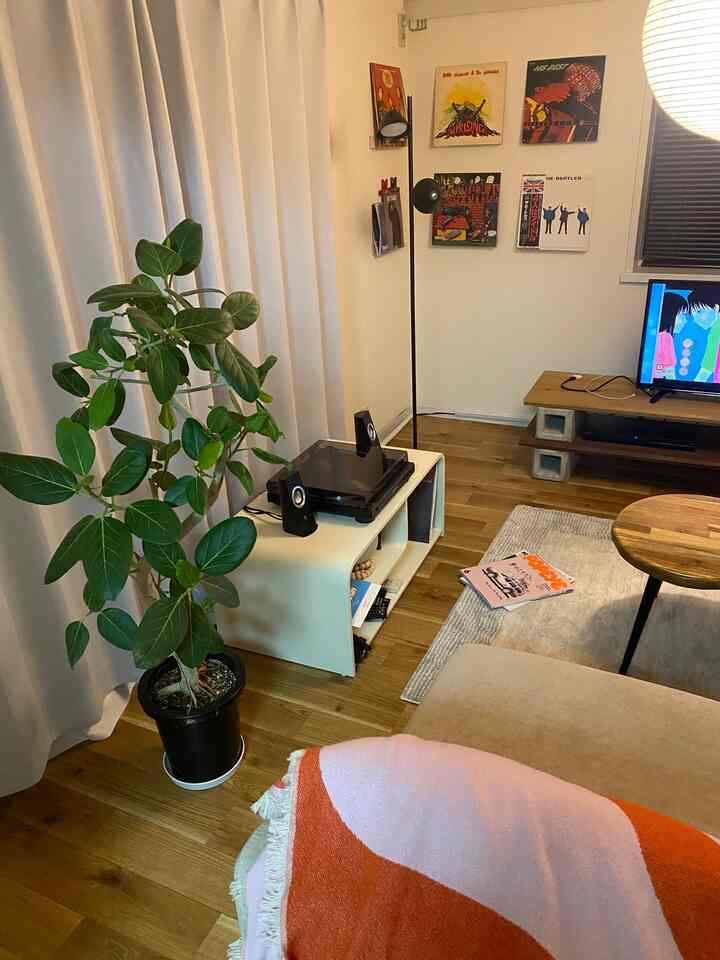 温かいオレンジ色が際立つ6畳ワンルームのミッドセンチュリーモダンリビング、観葉植物とソファが調和した居心地の良い空間