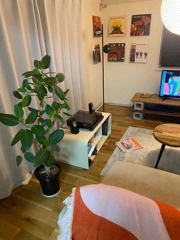 #インテリア 
#オレンジ
#ミッドセンチュリー 
#6畳
#원룸인테리어