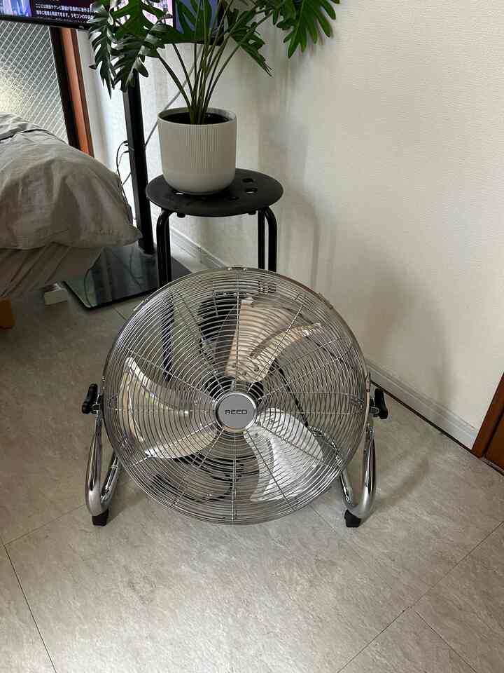 White-walled compact studio bedroom featuring a silver metallic REED floor fan, black side table with a white plant pot adds decorative accent