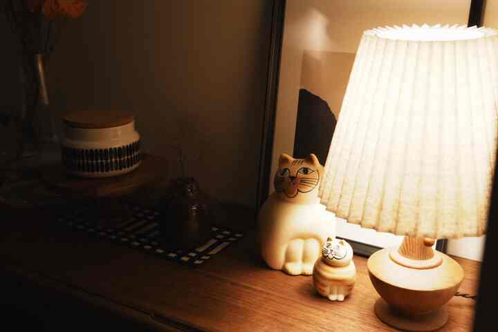 お気に入りの照明に照らされるお気に入りのオブジェたち🐈気分で飾るものが変わります♪

#食器棚 #リサラーソン #フラワーベース #テーブルランプ #オブジェコーナー