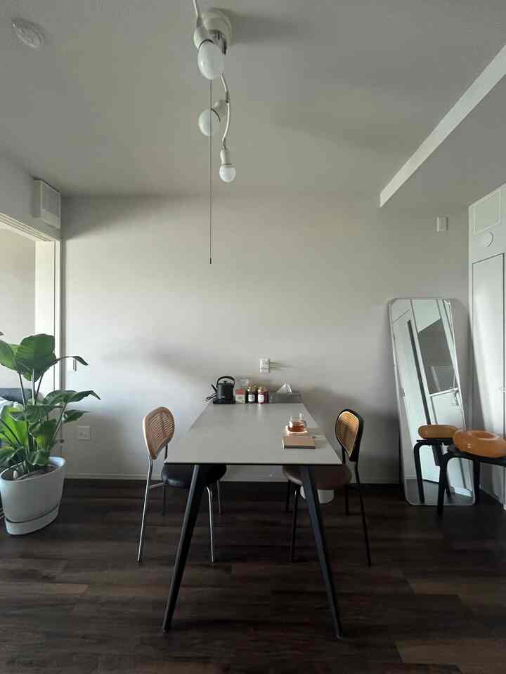 モノトーンの1DK空間、ダイニングテーブルと椅子、大きな観葉植物とスツールが配置されたシンプルな雰囲気の部屋