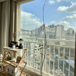뻥 트인 뷰가 마음에 드는곳-!🩵
하늘도 파랗고 날씨도 좋은날🌞👒💛
길게뻗는 윤노리 가지마저 예뻐보여요🌳🪵
 #맞팔 #선팔 #맞팔해요 #맞팔환영 #육아맞팔 #거실뷰 #거실인테리어 #거실창문 #거실창 #거실 #아파트인테리어 #25평아파트 #25평인테리어 