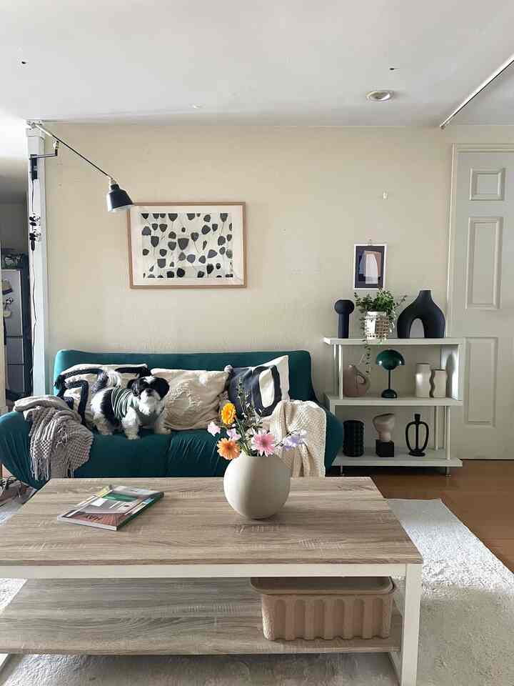 リビングはモノトーン✖️グリーン
主役はここに座ることが多い愛犬の白黒シーズー🐼 
#リビング #リビングインテリア #モノトーン #モノトーンインテリア #北欧インテリア  #北欧テイスト #HAY #fermLIVING #H&MHOME #CooeeDesign #犬がいる暮らし