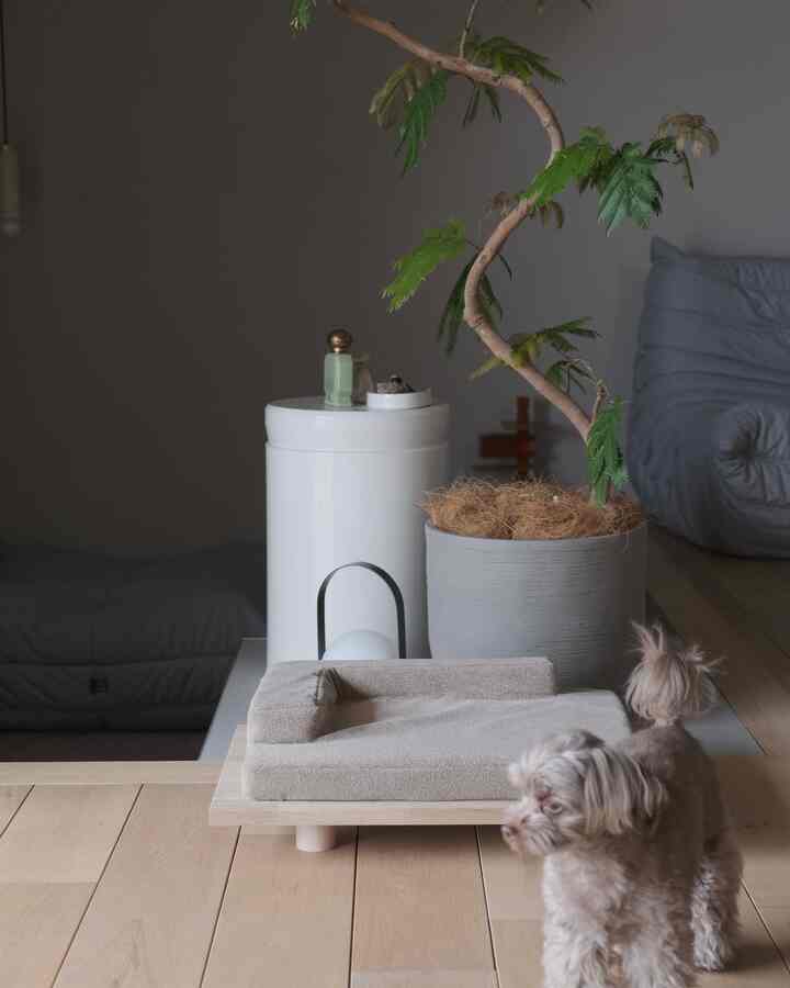 わんこのくつろぎスペース。
外を見るのが好きだから
窓に近いここにDIYベッドを置いてます。
ここが何気に我が家で1番明るいし
一等地かもしれません🦦

#リビングインテリア #犬がいる暮らし #ペットベッド 