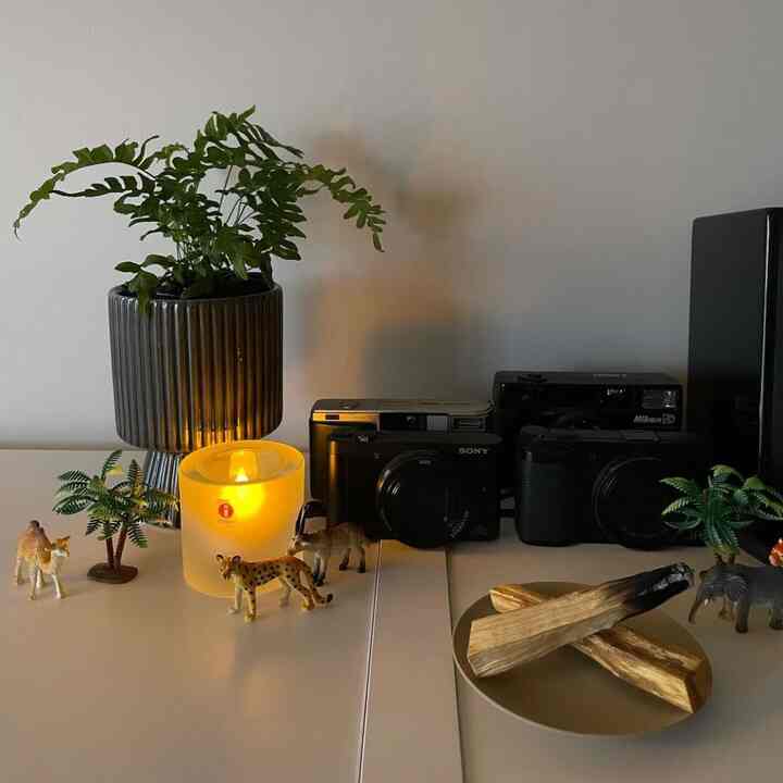 _
子供のころ遊んでた動物フィギュアを
並べてみたら案外良い感じ

イッタラのキャンドルホルダーとその中身(実はLED)は
友人からプレゼントしてもらいました
なんとアレクサで点けられるのです🗣️🕯️

#リノベーション #マンションリノベーション #howwelive #mylvngrm
#apartmenttherapy #apartmentinterior
#interiordesign #interiordecor #interiorinspo
#パロサント #GR3 #ittala