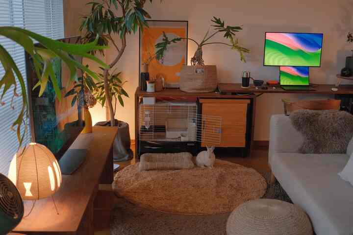 Brown wood tone natural living room featuring sofa, desk, and a pet rabbit creating a cozy atmosphere