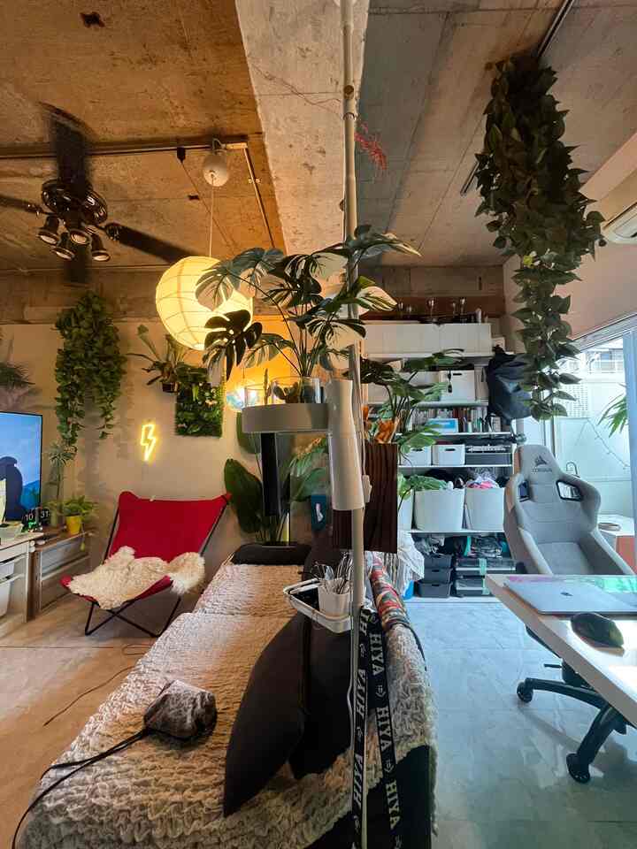 グレーと白のトーンの露出コンクリート天井があるワンルーム、植物とモダンな家具が配置された雰囲気のあるインテリア