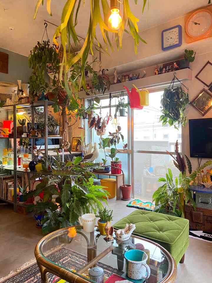 緑の植物とオットマンが配置された、ナチュラルな雰囲気のミッドセンチュリーモダンのリビングルーム