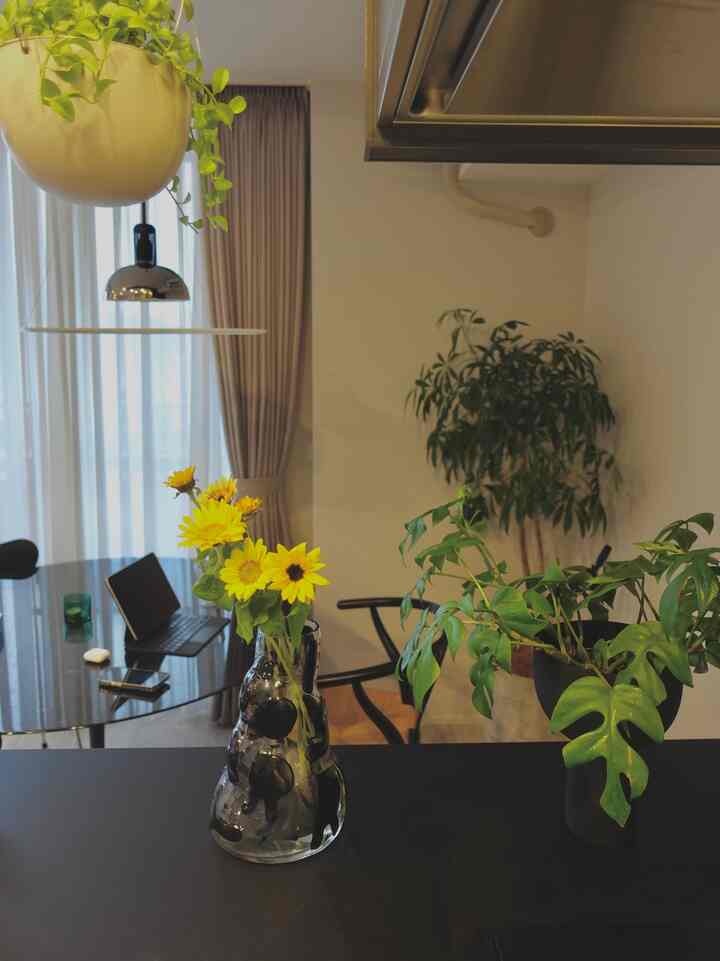 View from the kitchen 🪴

#interior #interiordesign #interiorstyling #livingroom #インテリア #インテリアデザイン #インテリアコーディネート #knoll #ノル #saarinen #サーリネン #hanswegner #ハンスウェグナー #yチェア #aytm #ikea #kinto