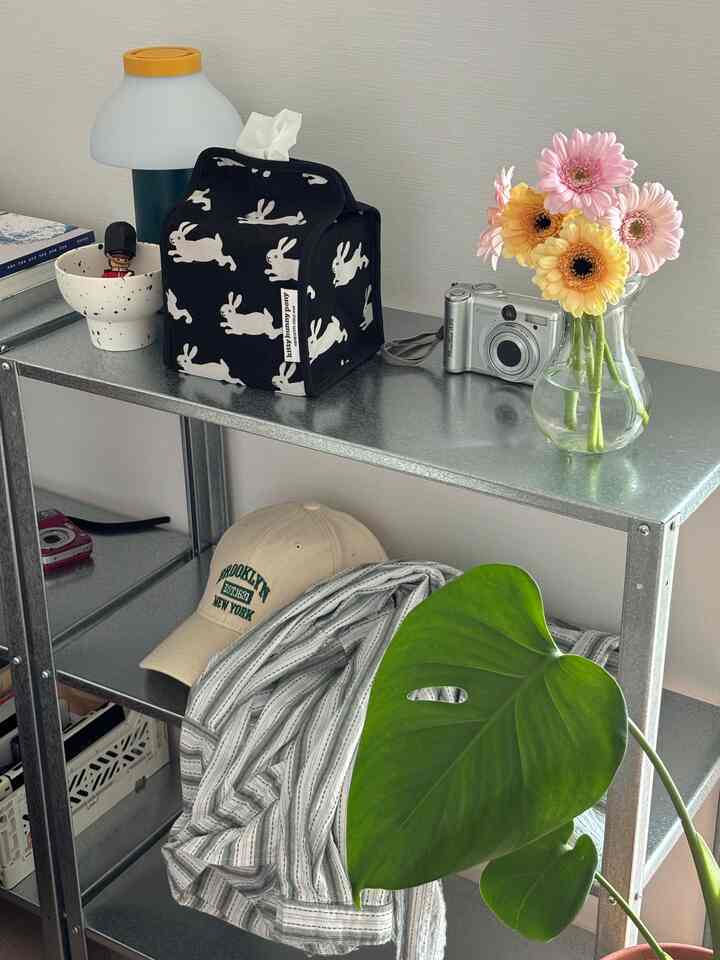 ナチュラルな緑の植物と花瓶が置かれたメタル棚とかわいいウサギ柄のティッシュカバーがあるシンプルな空間