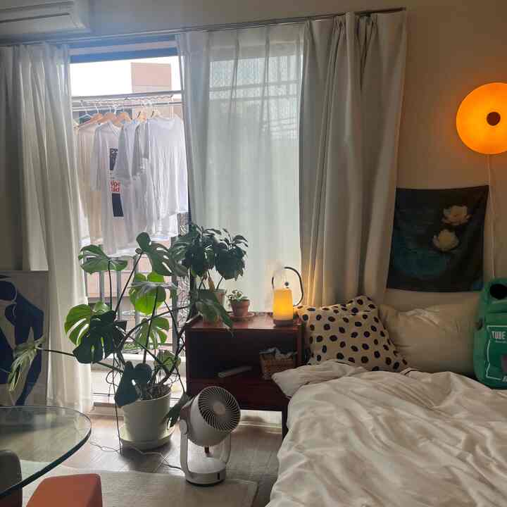 白を基調とした8畳の寝室、木目調の家具と大きな観葉植物が配置された雰囲気のあるインテリア