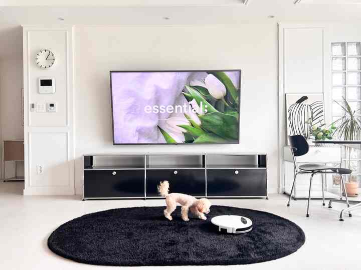 A Mid-Century Modern living room with white walls and floor, black USM TV unit and round black rug, featuring a small dog in center