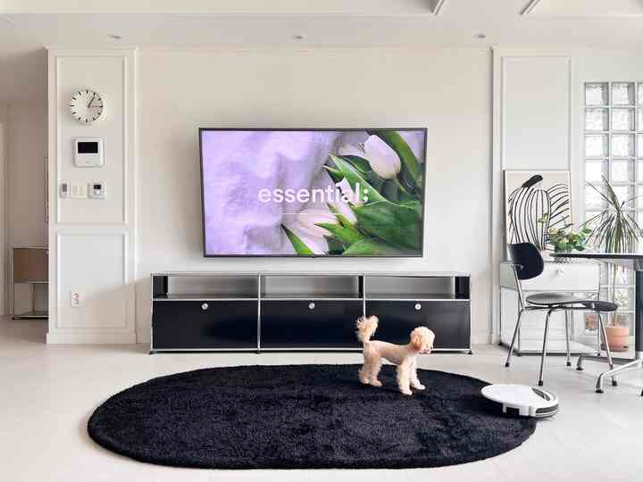 A bright white wall and ceiling background with a black USM sideboard centered below a large TV, featuring a mid-century modern living room with a large oval black rug and a dog standing on it
