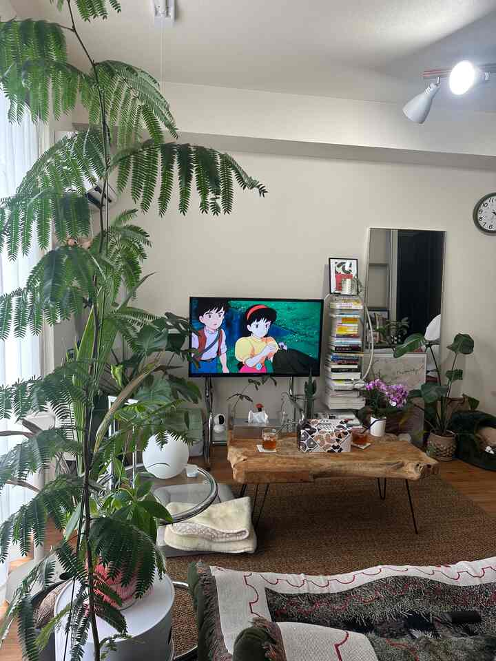 緑豊かな植物が配置されたナチュラルな色合いのリビング、木製のコーヒーテーブルとテレビが置かれた雰囲気のある空間