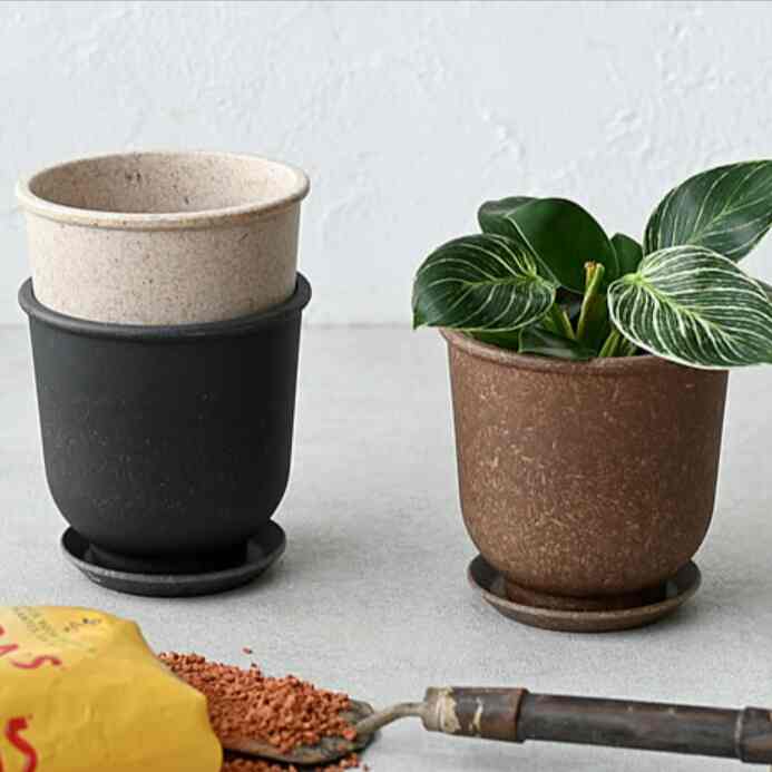 Sprout エコポット M