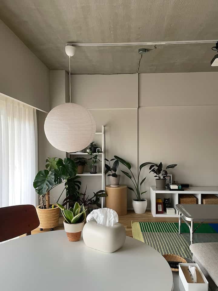 My favorite corner 🪴

#renovation #マンションリノベーション#roomdecor #howwelive #mylvngrm
#apartmenttherapy #apartmentinterior
#interiordesign #interiordecor #interiorinspo #IKEA
#interiorgreen #観葉植物
