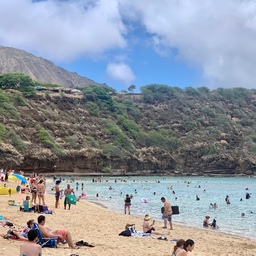 하와이여행❓스노쿨링은⁉️하나우마 베이‼️
📍하나우마 베이_100 Hanauma Bay Rd, Honolulu, Oahu, HI 96825-2005
세계 스노쿨링 명소로 유명한 하와이의 하나우마 베이.
이곳은 자연 보호구역으로 이틀 전 예약 및 입장료를 지불해야 방문할 수 있는 해변이에요🏝️
해변을 가는데 사전예약...?
게다가 아침 7시부터 광클해야 성공...?
하와이에 수많은 해변이 있는데 그런 곳을 꼭 가야할까 싶었지만 하와이는 자주 올 수있는 나라가 아니니 도전했고 2번만에 성공!!
결론적으로, 하나우마 베이 때문에라도 꼭 다시 하와이에 와야겠다 싶었어요! 
하와이에서만 산다는 손꼽히는 희귀종 몽크 물범의 실물영접까지🦭🥹🩶
감탄사밖에 안나오는..
끝내주는 절경이 펼쳐지는 꿈만같은 곳💖
#여름휴가는여기로 #해외여행 #하와이 #하와이여행 #하나우마베이 #하와이해변 #스노쿨링 #나도크리에이터 #맞팔