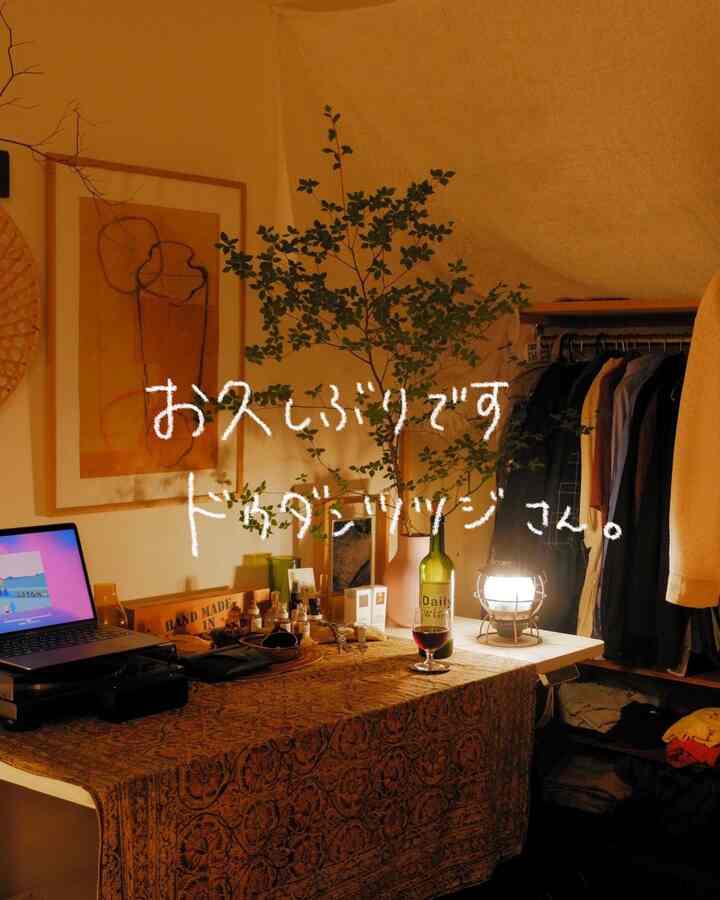ドウダンツツジを迎えたよー

#ドウダンツツジ
#観葉植物 #インテリア #インテリア植物 