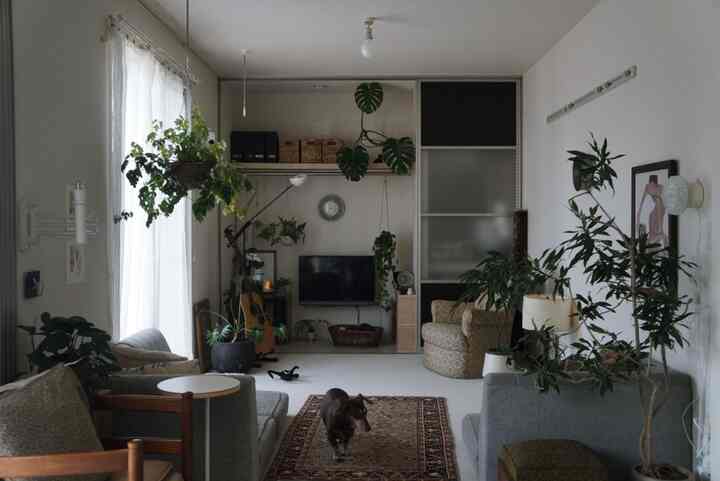 ナチュラルな色調のリビング、さまざまな植物と犬が配置された落ち着いた雰囲気のインテリア