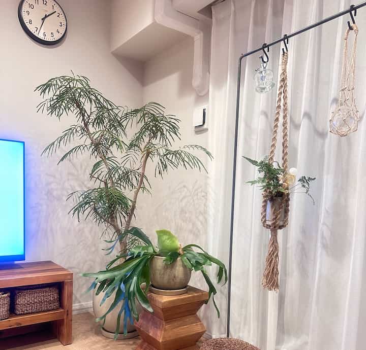 お得意の夜中のちょこっと模様替え👏👏
次の休みの目標はハンギング増やすことです🙋‍♀️
.
#マンション #マンションインテリア #インテリア
#リビング #観葉植物 #観葉植物のある暮らし
#ハンギング #コウモリラン 