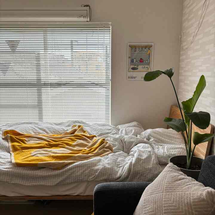 ナチュラルカラーとホワイト、イエローアクセントがある一人暮らし向け1K寝室。チェック柄の掛け布団カバーと植物が調和した印象的な空間。