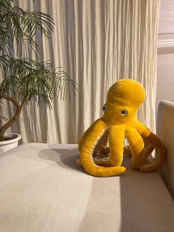 先日IKEAから
連れて帰りました🐙


#リビング #IKEA #IKEA家具  #IKEAソファ  #ソーデルハムン #タコ #カーテン #リネンカーテン #トレジュール #ラミーリネン40