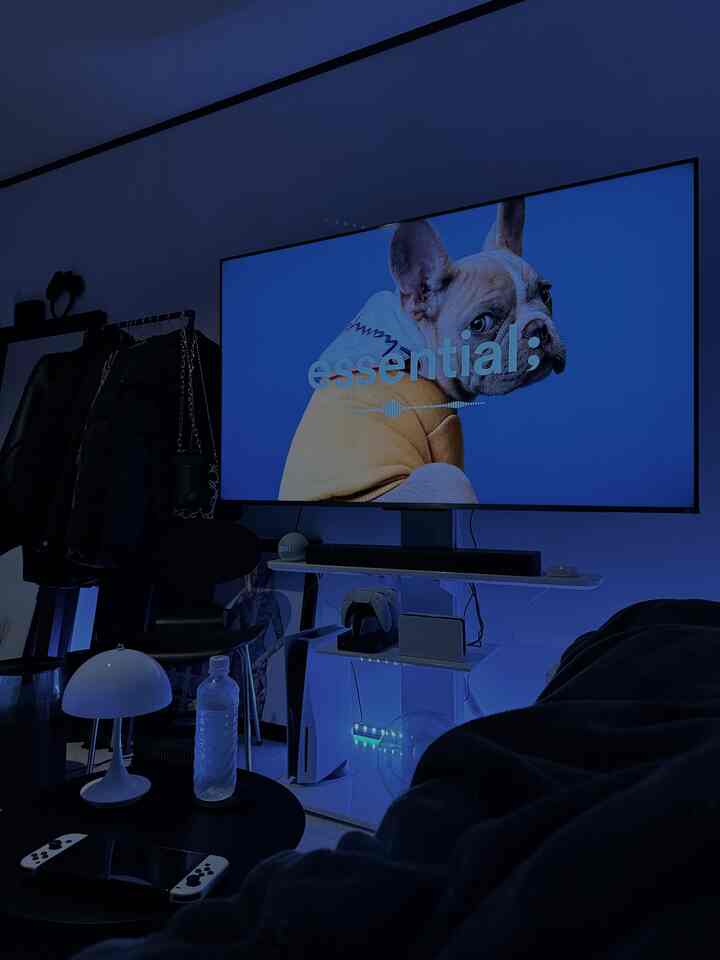 ブラックとホワイトのトーンのゲームルーム、大きなテレビとPS5、ニンテンドースイッチが配置されたモダンな雰囲気のインテリア