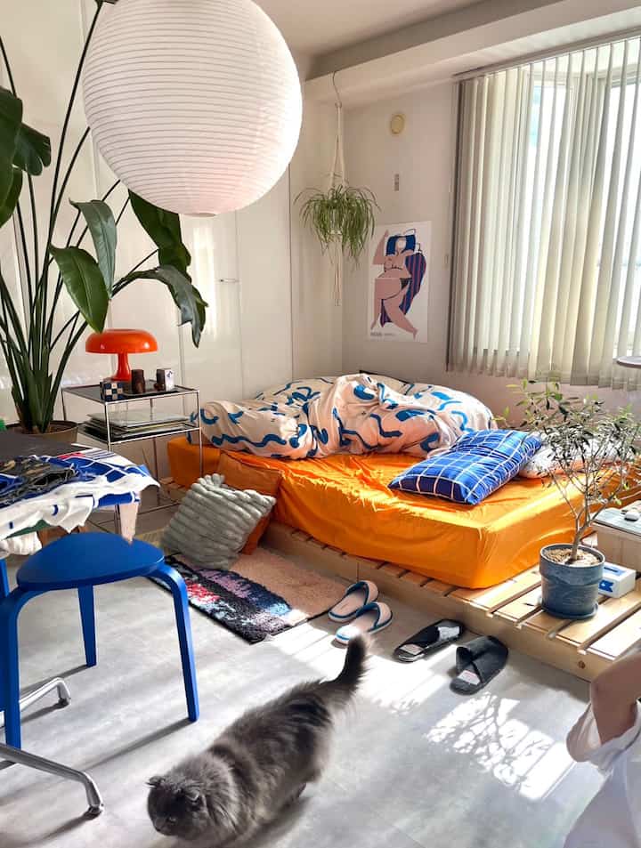 Beige-walled single bedroom featuring a pallet bed with blue patterned duvet, blue stool, and lush plants creating a natural atmosphere