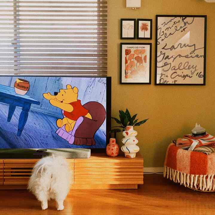 夕方のテレビボード横

この辺に飾りたいものとか色々あるんだけどなかなか計画が進まない〜😇

#北欧インテリア #北欧スタイル #建売住宅